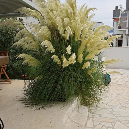 Katharina For 4 - 8 People * Sveti Filip i Jakov