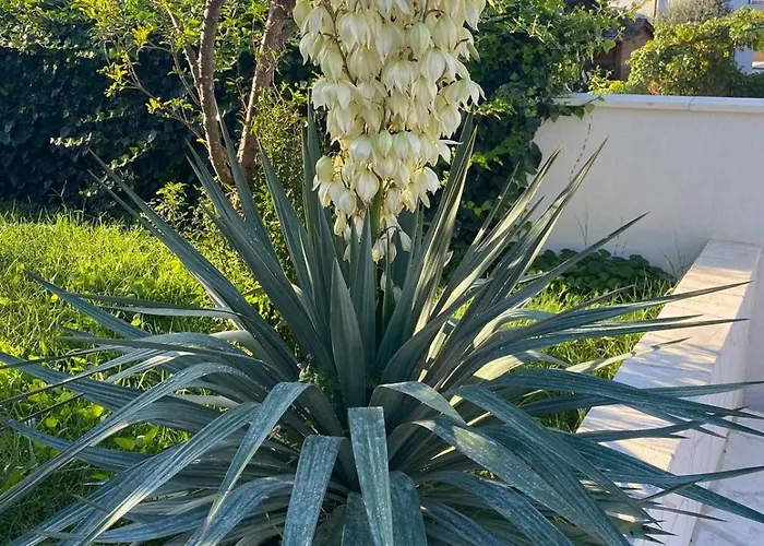 Katharina For 4 - 8 People