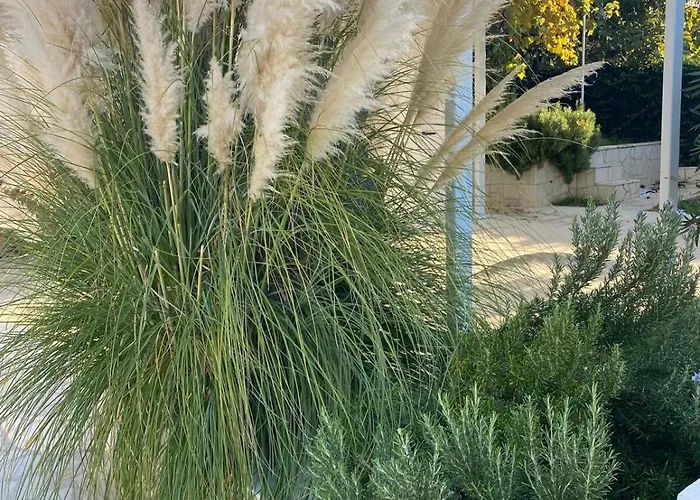 Katharina For 4 - 8 People * سفيتي فيليب ياكوف