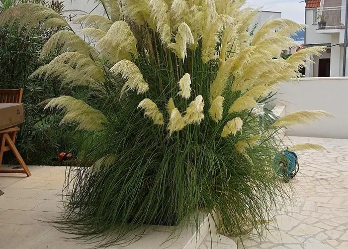 Katharina For 4 - 8 People * سفيتي فيليب ياكوف